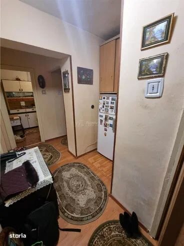 Alexandria Ion Creanga zona tipografie